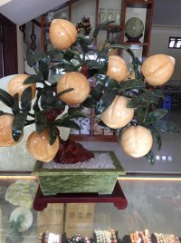 Cây đào ngọc hoàng long (cây đào tiên thạch anh vàng) 9 quả lớn
