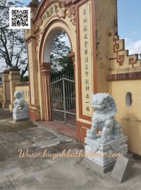 Đặt KỲ LÂN Dd